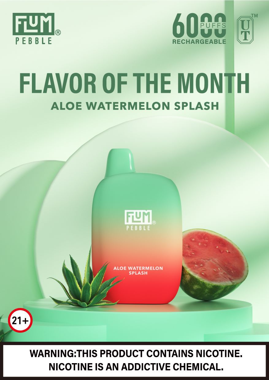 Flum pebble-aloe watermelon splash 6000