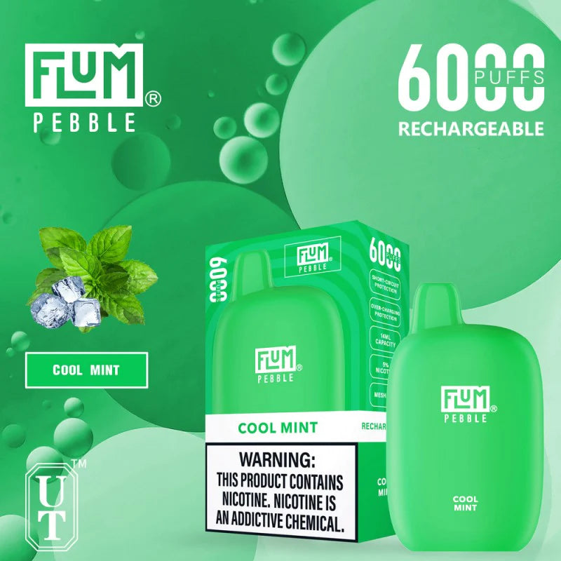 Flum pebble-cool mint 6000